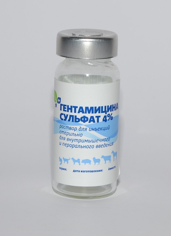 Гентамицин для животных инструкция